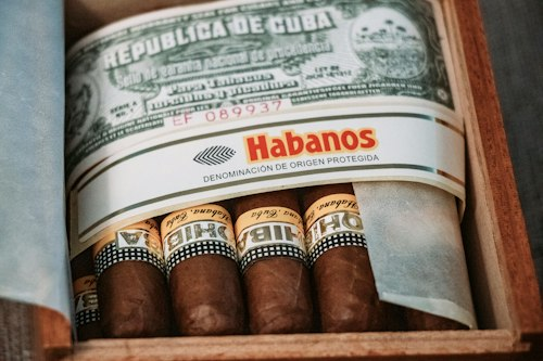Cigar and Wine Pairing Experience